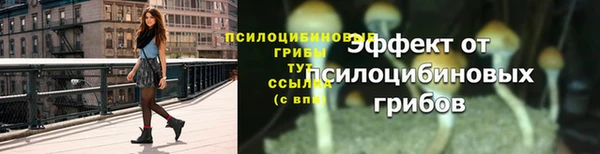 ECSTASY Лабытнанги
