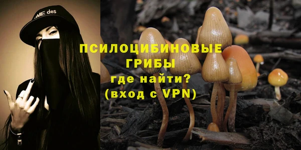 ECSTASY Лабытнанги