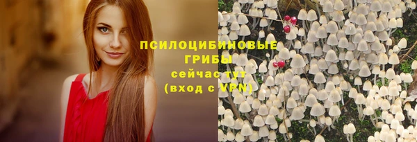 ECSTASY Лабытнанги