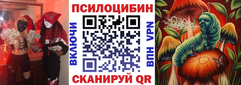 где продают наркотики  Оханск  Псилоцибиновые грибы мицелий 